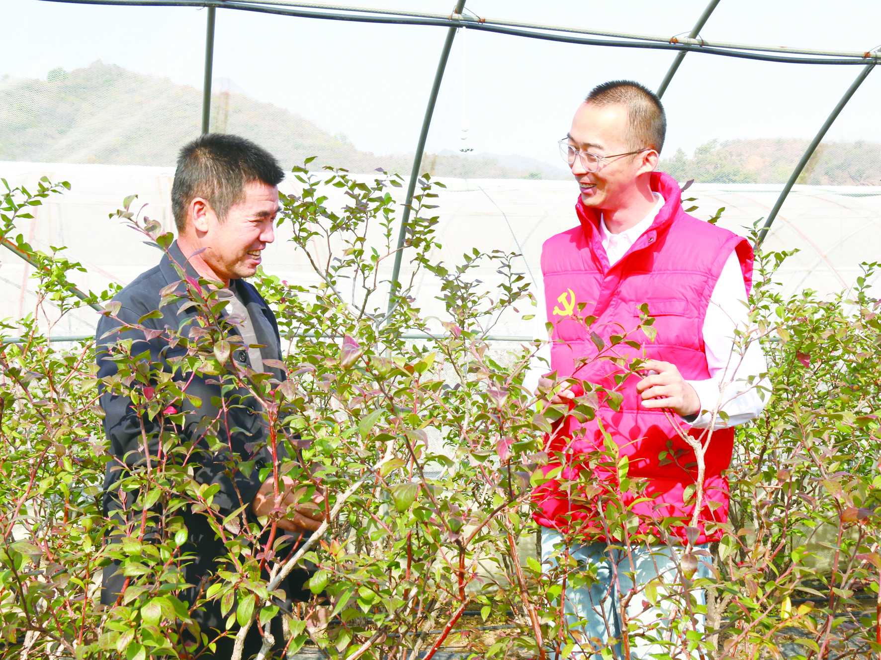 朱雨晨和村民探讨蓝莓种植技术升级方案